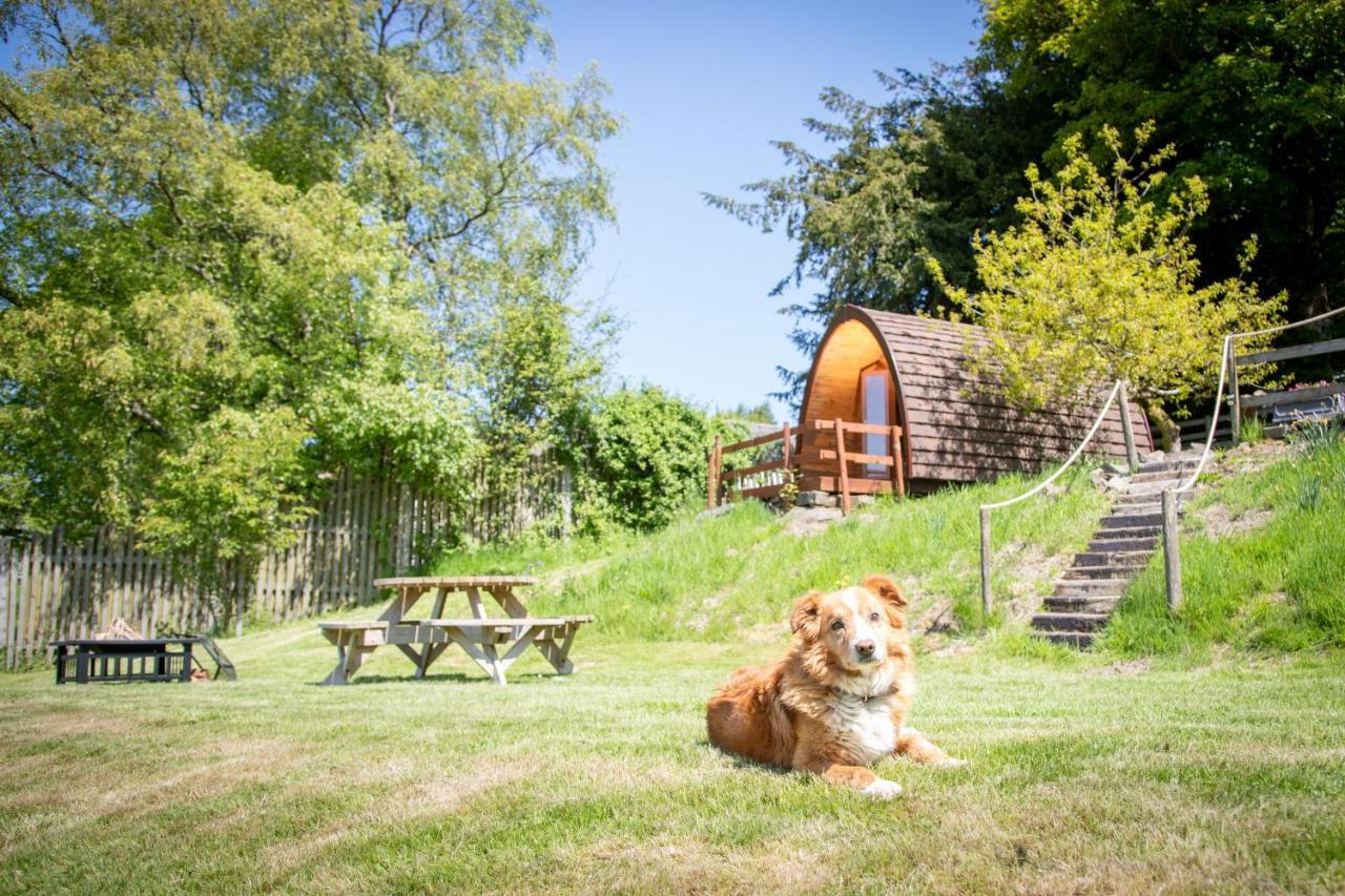 Hotel Ty Grug Pods Bryngwyn Zewnętrze zdjęcie